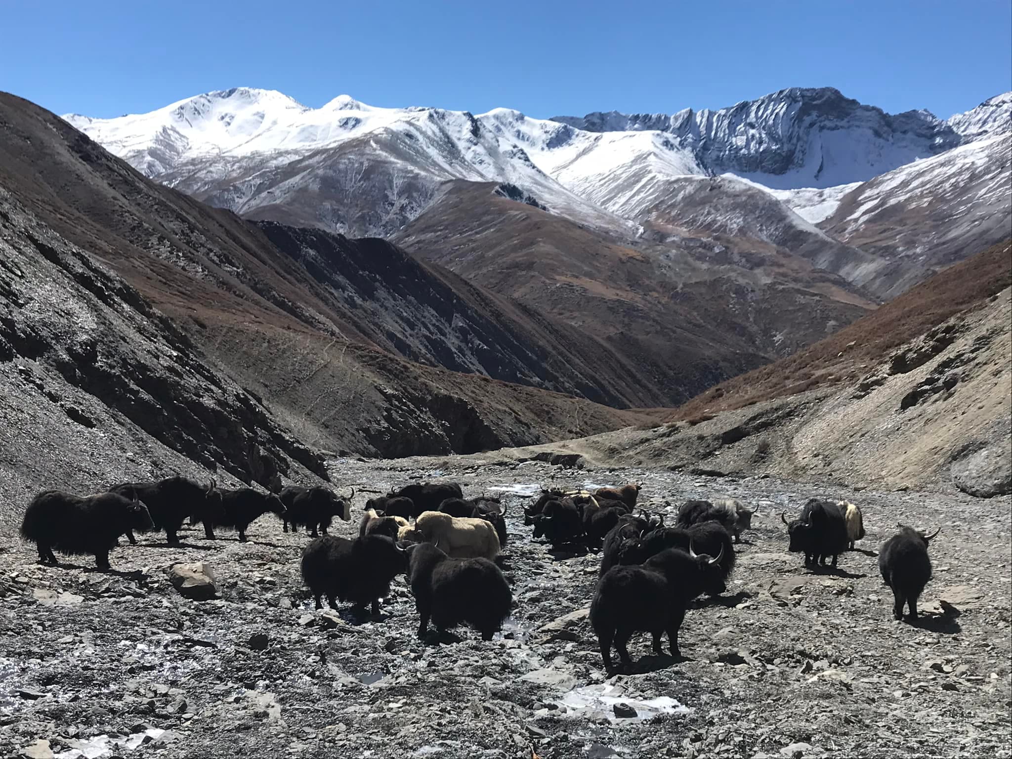 Upper Dolpo Trek Blog