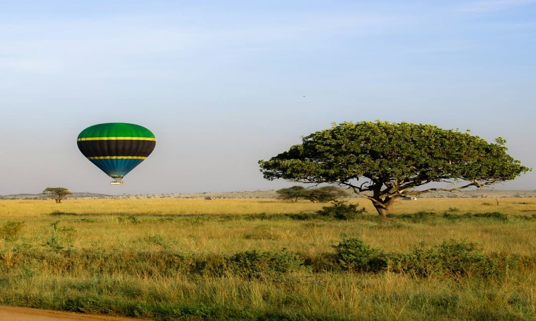 Tanzania Luxury Safari Tour