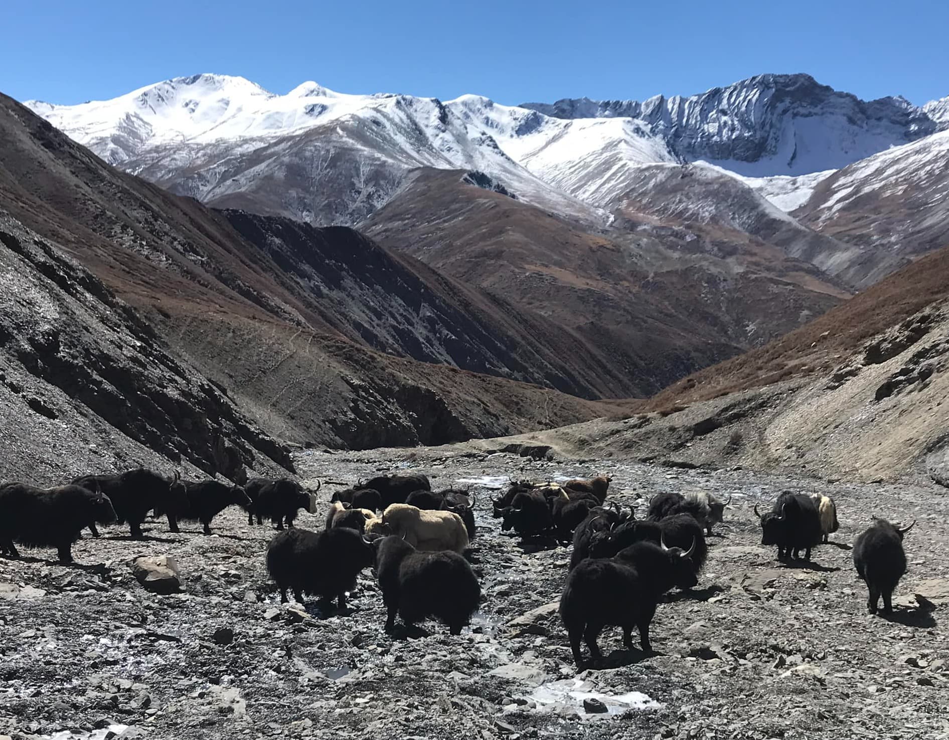 Upper Dolpo Trek Blog