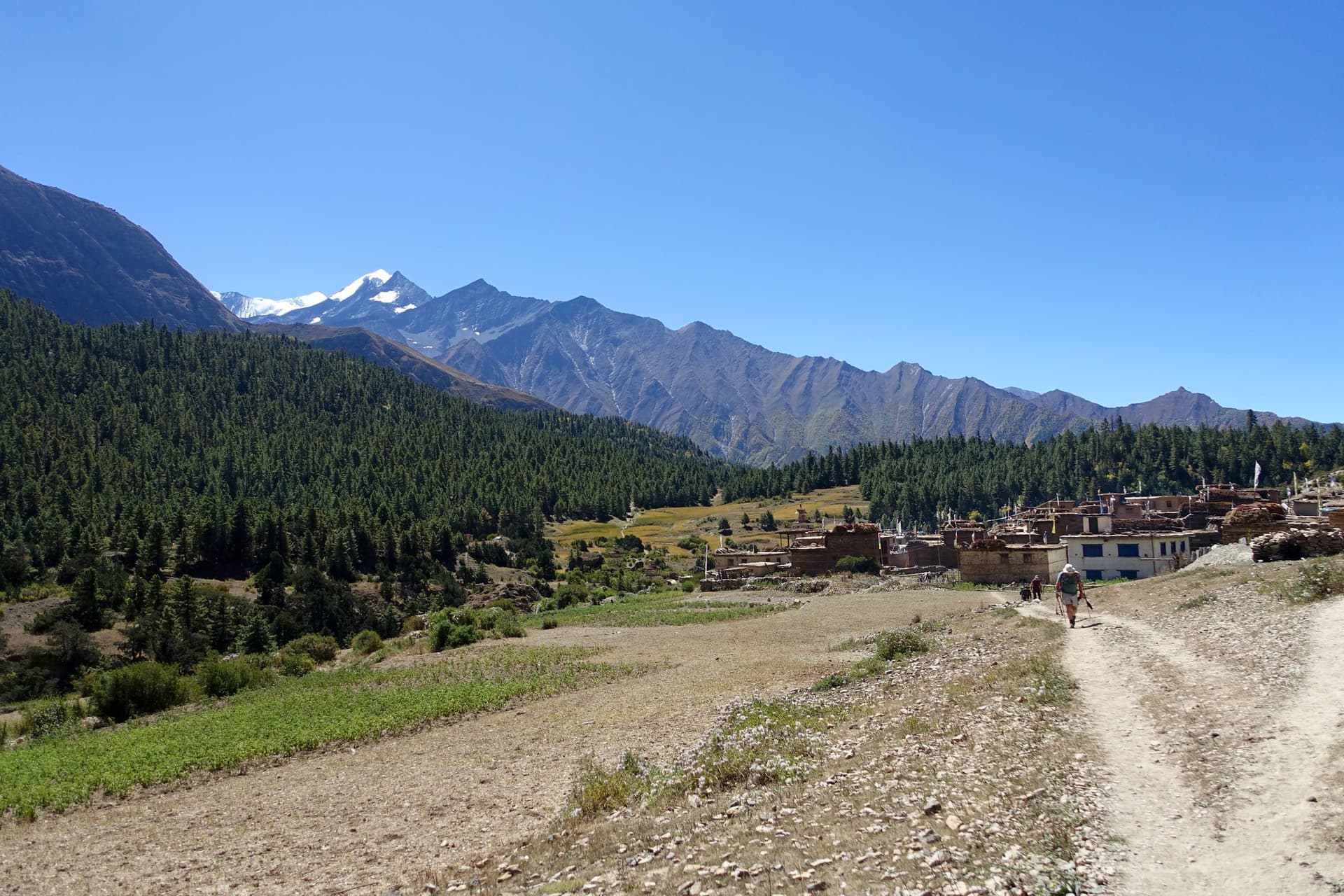 Dolpa Trekking