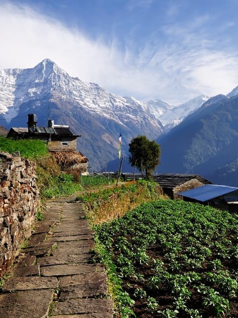 Annapurna region
