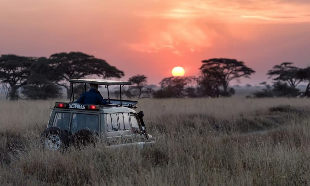 Safari in africa