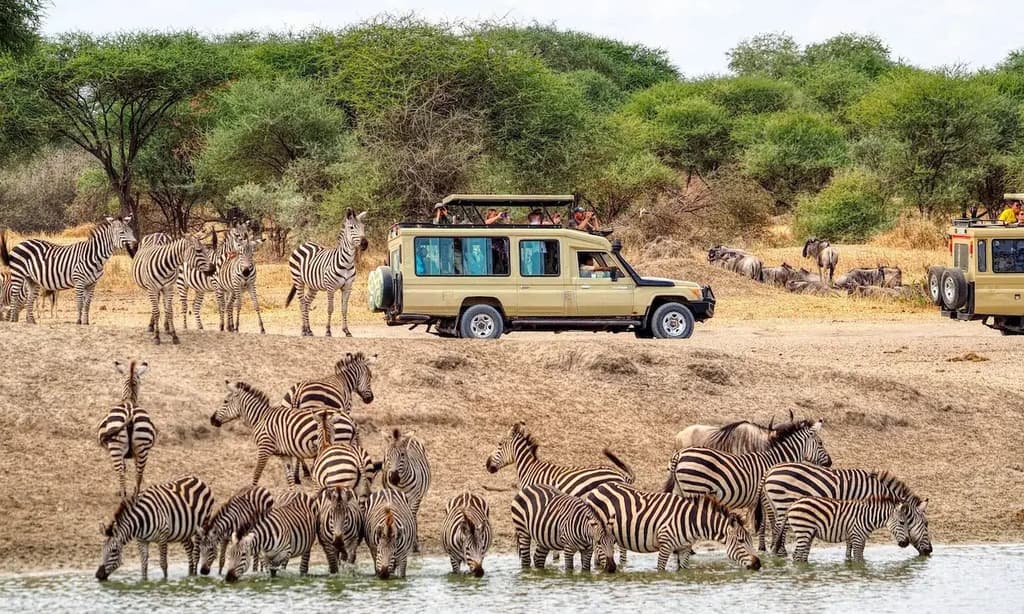 Tanzania Safari Trip and Zanzibar Tour