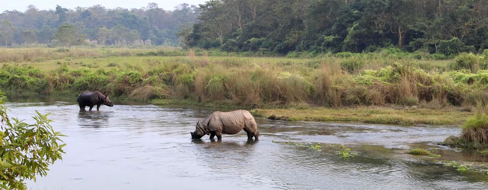 Chitwan National Park