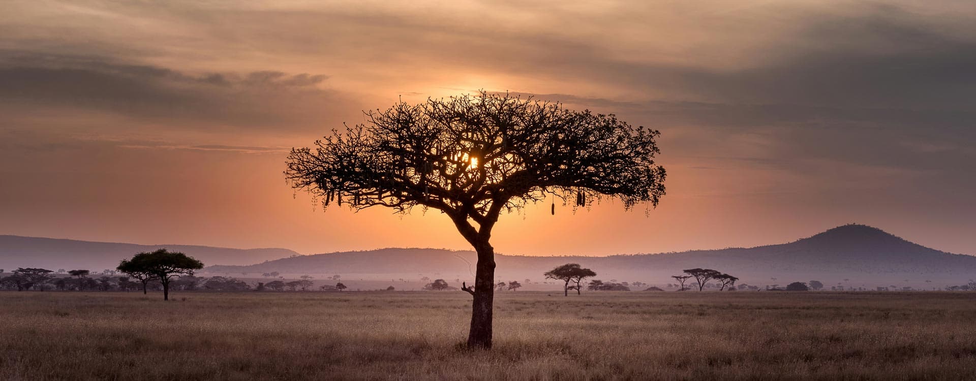 Sunset in africa