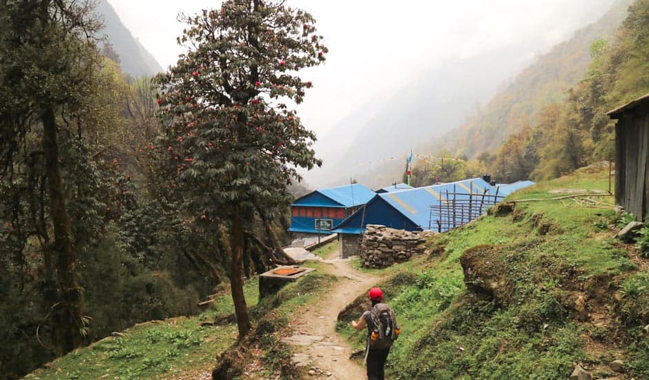 Dovan Nepal ABC Trek Annapurna Base Camp Trekking Route Village 1