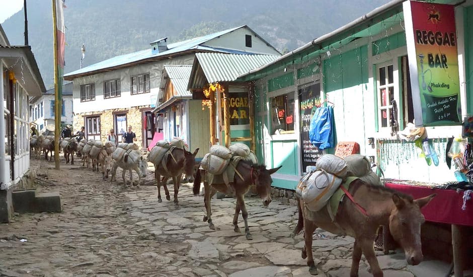 Donkey Carrying Load In Phakding Valley